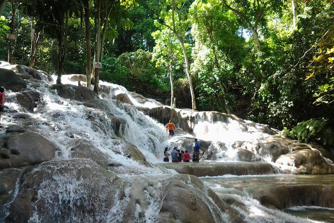 Falmouth Shore Excursion Dunn's River Falls - Quick hits before you go