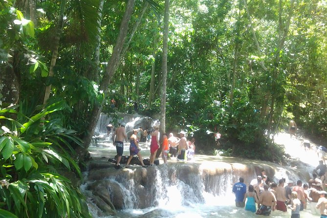 Falmouth Shore Excursion Dunn's River Falls - Who should book this Dunn’s River Falls shore excursion