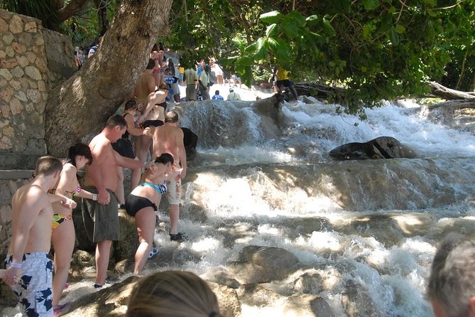 Falmouth Shore Excursion: Dunns River Falls and River Tubing Tour - Why Dunn’s River Falls and White River Tubing is such a strong shore plan