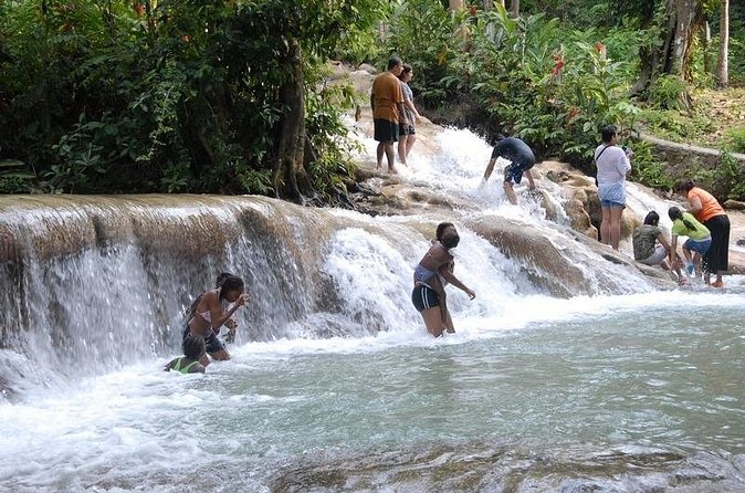 Falmouth Shore Excursion: Dunns River Falls and River Tubing Tour - Price and value: what $200.85 per person is really buying