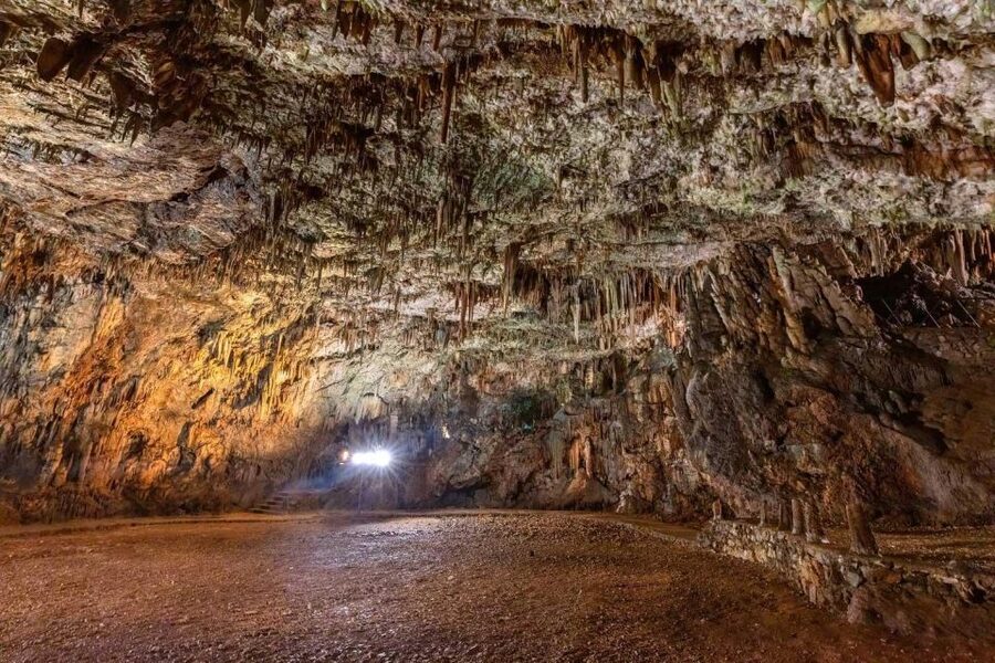From Argostoli: Melissani & Drogarati Cave Shore Excursion - Key things to know before you go