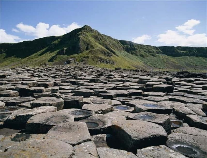 From Belfast: Causeway Express Tour Shore Excursion - Dark Hedges + Dunluce Castle: the Game of Thrones moment with real atmosphere