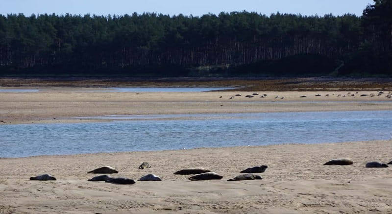 From Invergordon: Private Northern Highlands Shore Excursion - Key Highlights Worth Your Time