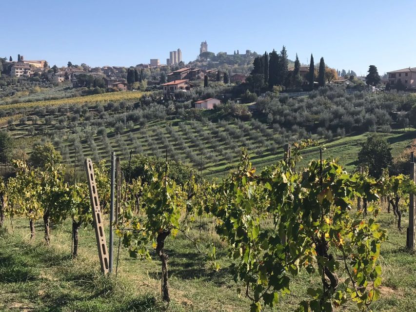 From Livorno: Shore Excursion to Chianti and San Gimignano - Key Highlights You’ll Feel Immediately