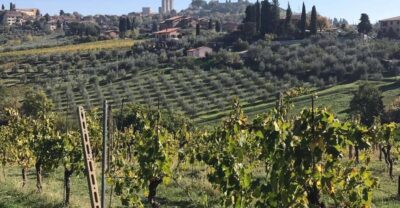 From Livorno: Shore Excursion to Chianti and San Gimignano - The Schedule: How You Keep the Day on Track Without Stress