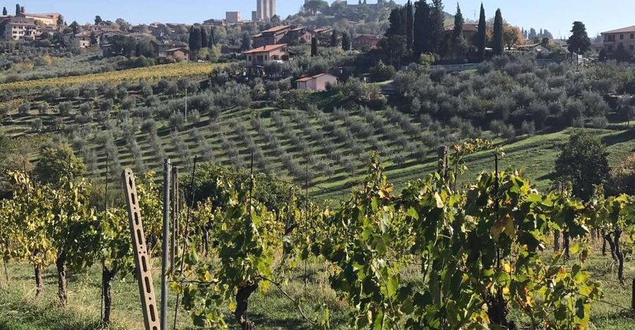 From Livorno: Shore Excursion to Chianti and San Gimignano - The Schedule: How You Keep the Day on Track Without Stress