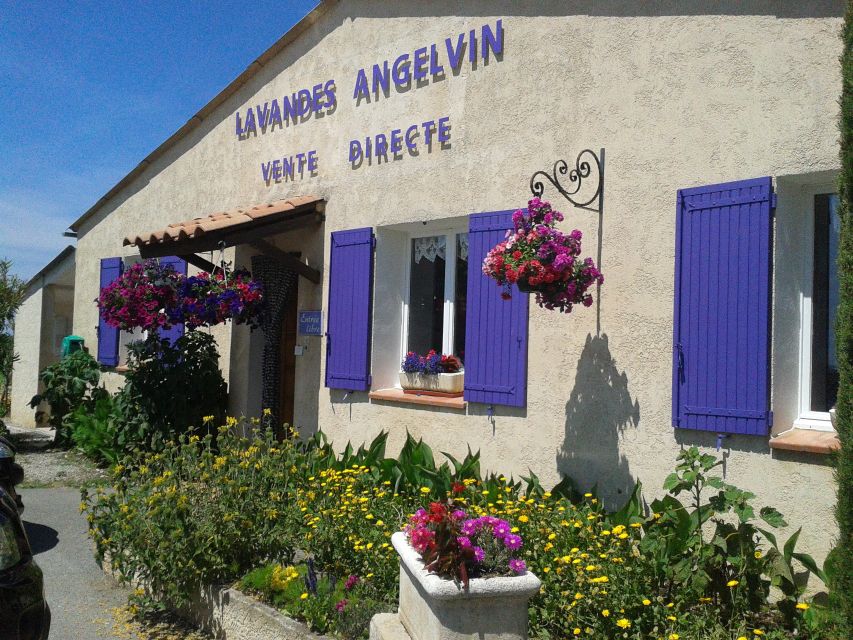 From Marseille: Valensole Lavenders Tour from Cruise Port - Valensole village lunch time: your 90 minutes to reset