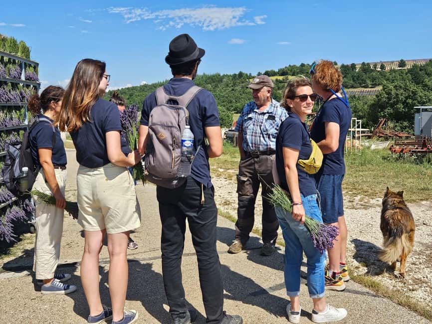 From Marseille: Valensole Lavenders Tour from Cruise Port - Should you book this Valensole Lavenders Tour from Marseille?