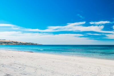 From Penneshaw: Kangaroo Island Shore Excursion Tasting Tour - Where to meet at Penneshaw (and why it’s worth finding fast)