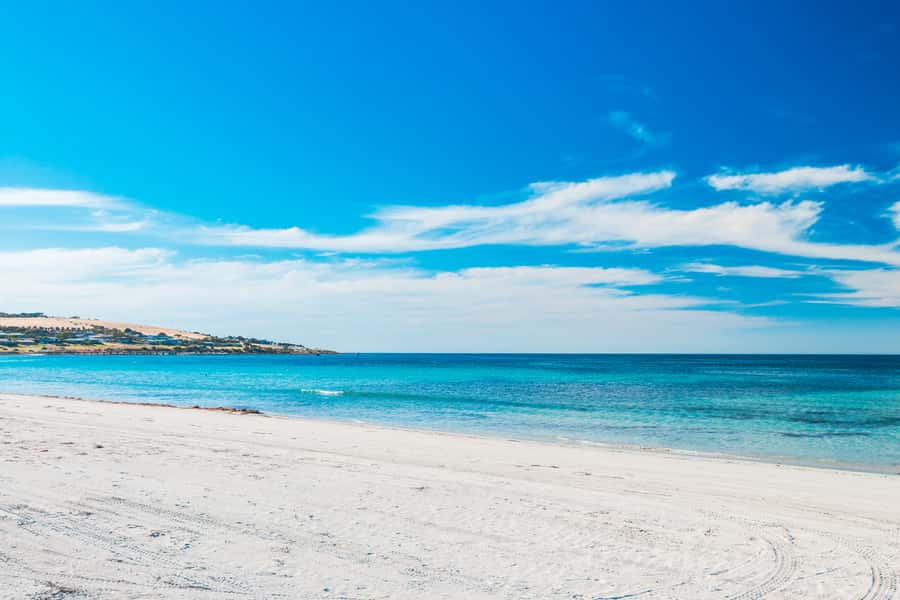 From Penneshaw: Kangaroo Island Shore Excursion Tasting Tour - Where to meet at Penneshaw (and why it’s worth finding fast)