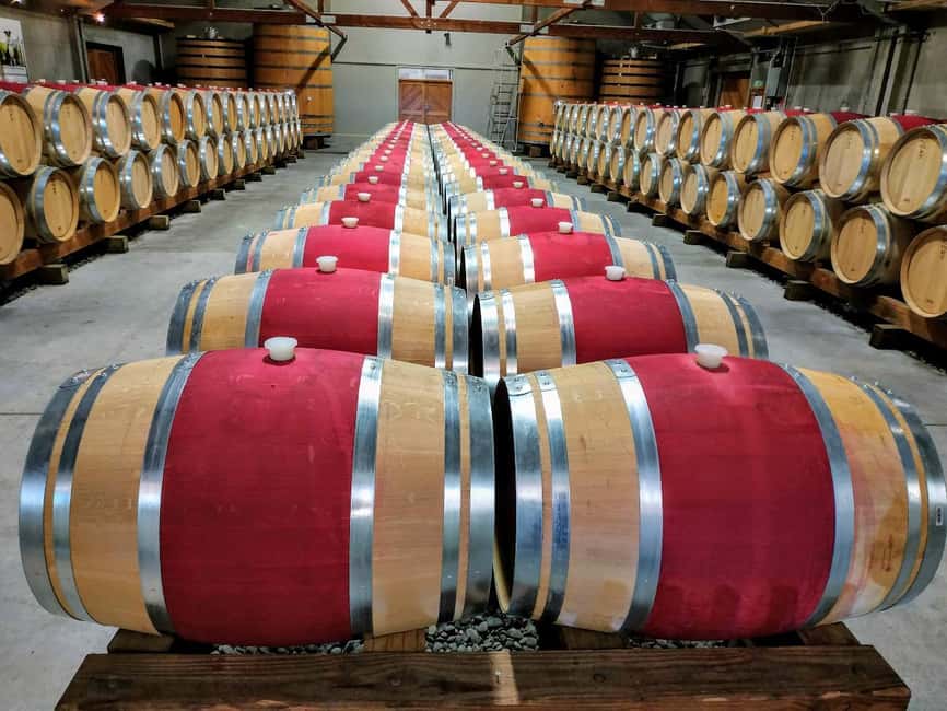 From Picton: Marlborough Wine Shore Excursion - The scenic van drive into Marlborough wine country