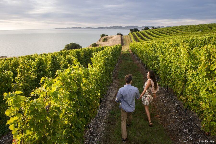 From Picton: Marlborough Wine Trip Shore Excursion - Quick tips to make your tastings smarter
