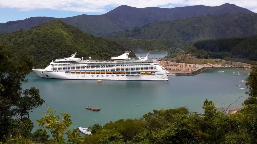 From Picton: Marlborough Wine Trip Shore Excursion - Should you book this Picton to Marlborough wine trip?