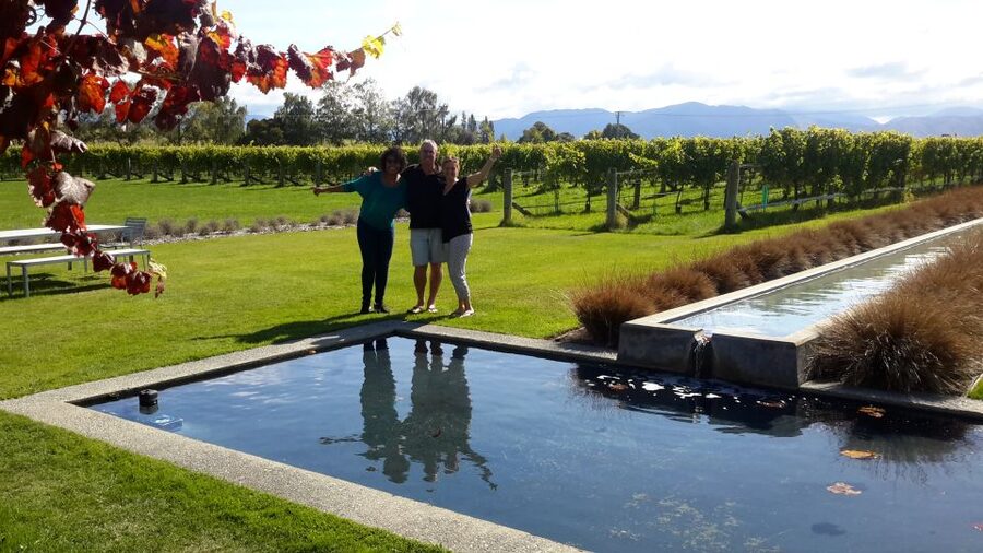 From Picton: Marlborough Wine Trip Shore Excursion - The cellar-door circuit: how you taste more than one version of Marlborough