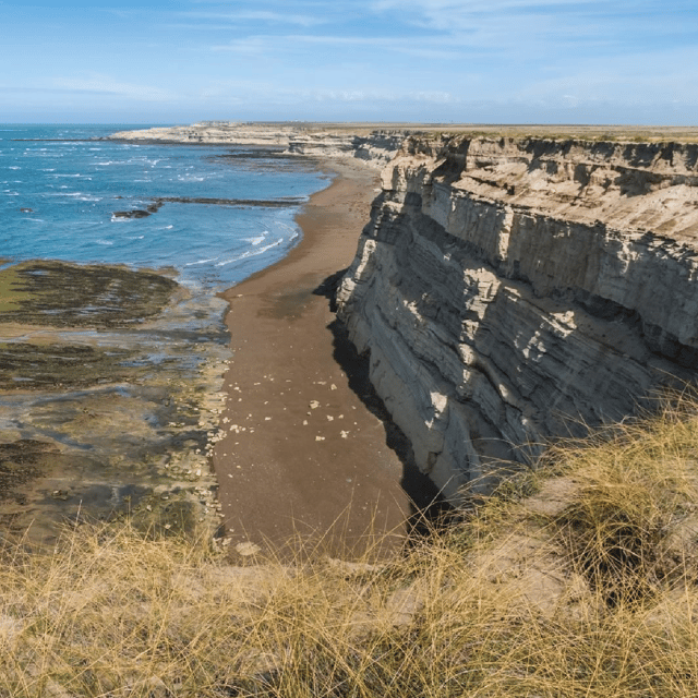 From Puerto Madryn: Peninsula Valdés Shore Excursion - Timing, walking, and getting back to the ship