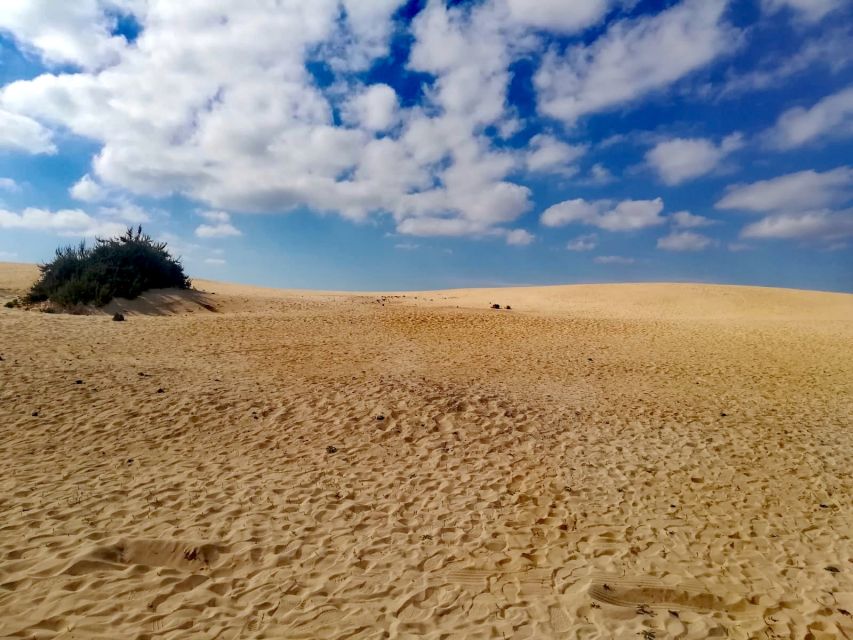 Fuerteventura: Corralejo Sand Dunes Guided Shore Excursion - Who This Tour Suits Best (And Who Might Not Love It)