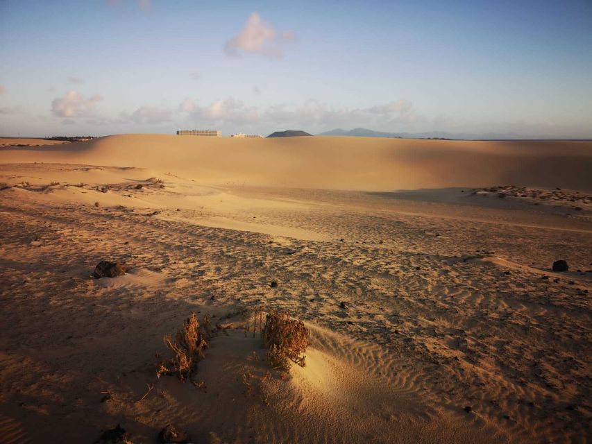 Fuerteventura: Corralejo Sand Dunes Guided Shore Excursion - What to Bring So You Don’t Feel Rushed Later