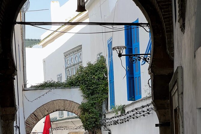 Full-Day Shore Excursion Private Tour in Tunisia Carthage ,Medina, Sidi Bou said - The guide experience: what you should expect (and what to watch for)
