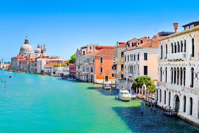 Full Day Venice Shore Excursion from Trieste - Key things I’d zero in on before you book