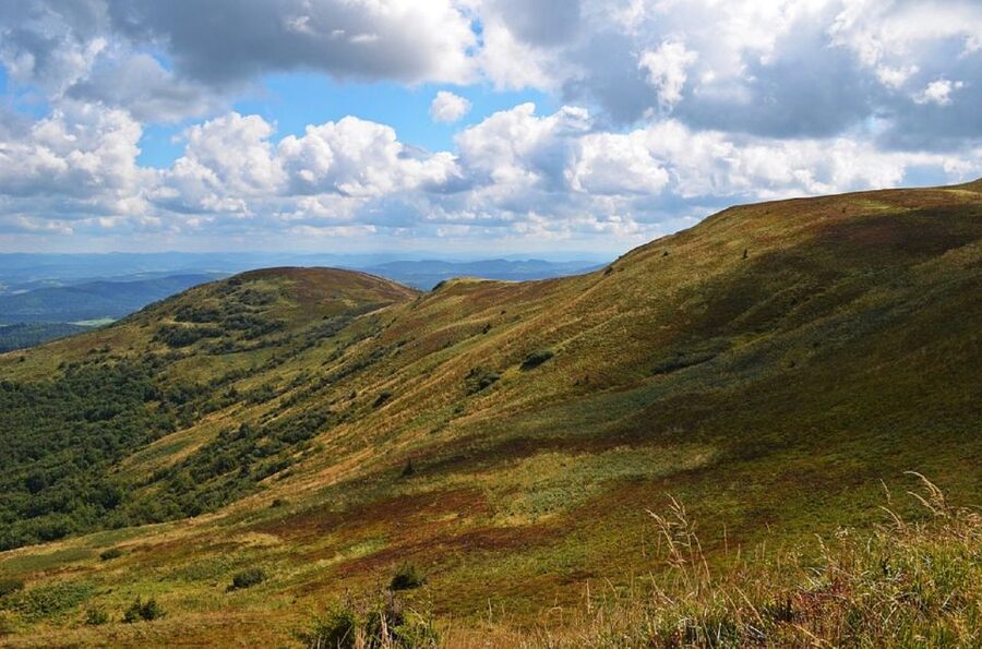 Greenock: Shore Excursion to Stirling Castle and Loch Lomond - Loch Lomond: what you get, what to watch for, and how to plan
