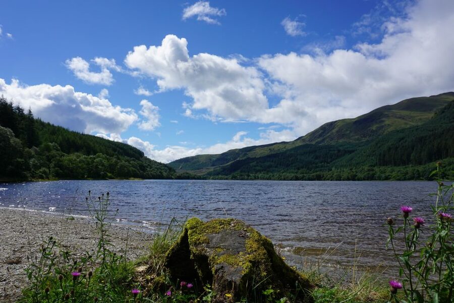 Greenock: Shore Excursion to Stirling Castle and Loch Lomond - Timing, comfort, and cruise-ship reality checks