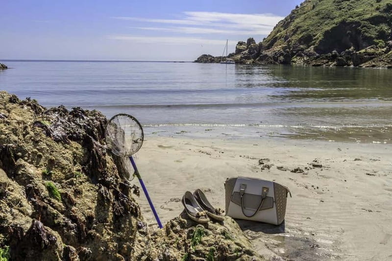 Guernsey: Half-Day Island Shore Excursion Tour - Getting to the bus terminus fast after your tender