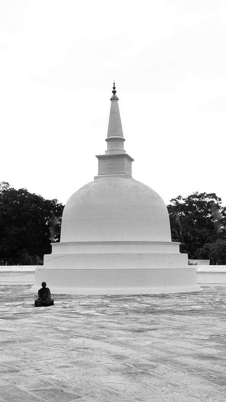 Hambantota Shore Excursion: Village and Cultural tour - Who should book this Hambantota village and cultural tour