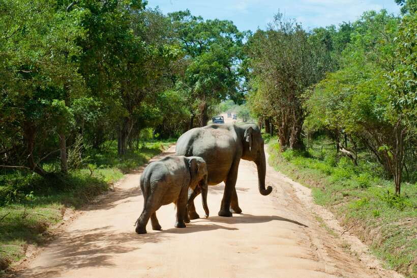 Hambantota Shore Excursion: Village and Cultural tour - Price and value: is $60 a fair deal for five hours?