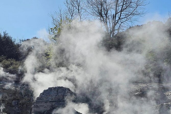 Hells Gate Geothermal, Mud & Sulphur Spa - From Tauranga to Rotorua: the ride that sets up your day