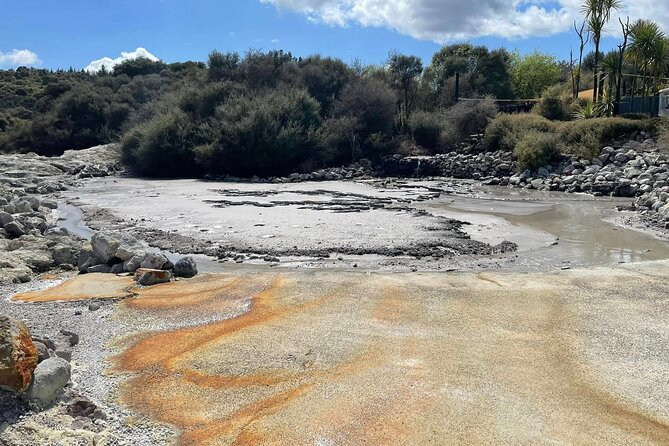 Hells Gate Geothermal, Mud & Sulphur Spa - Mud baths and sulphur spas: where the geothermal fun becomes real