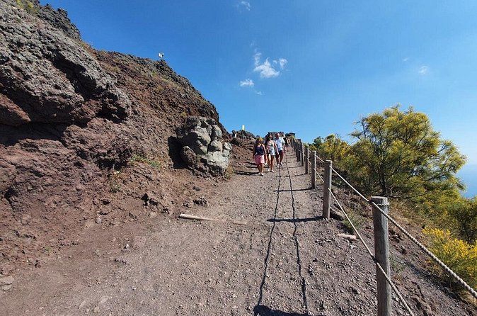 Herculaneum & Vesuvius Private Shore Excursion - Vesuvius National Park: the one-hour climb you should plan for