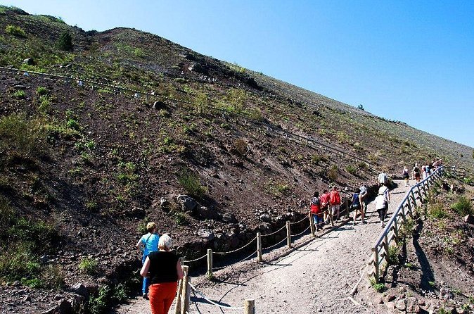 Herculaneum & Vesuvius Private Shore Excursion - Price and value: what you’re paying for at $558.93 per person