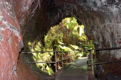Hilo Shore Excursion: Active Volcano, Lava Tube, Waterfall and Gardens - Hawaii Volcanoes National Park: Kilauea Caldera, Steam Vents, and Halema‘uma‘u