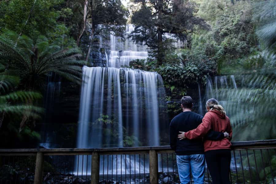 Hobart: Mt Field National Park & Wildlife Shore Excursion - A cruise-ship shore day that feels like the real Tasmania