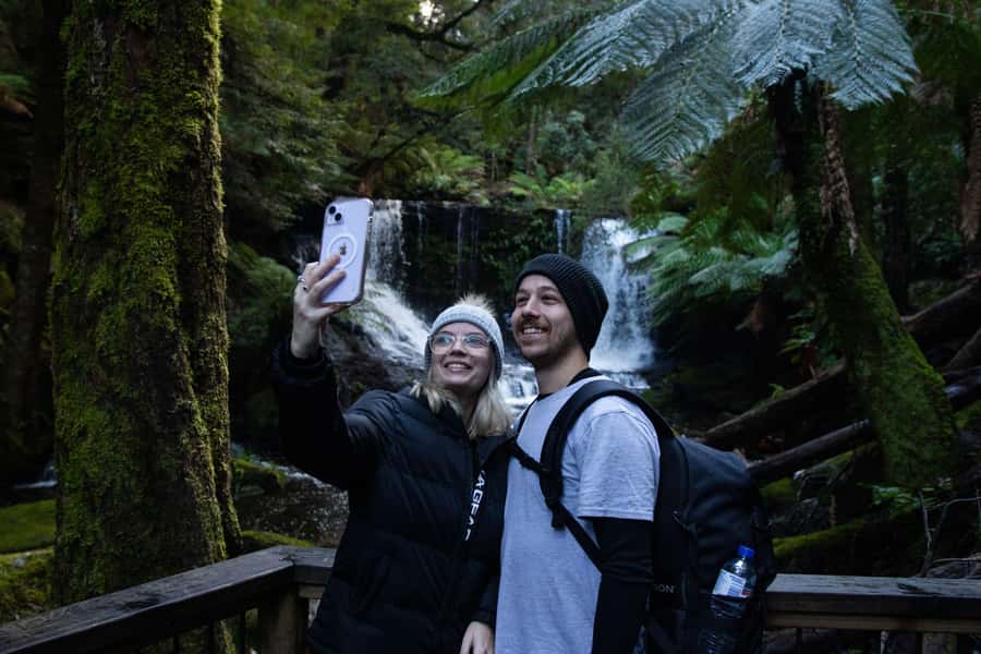 Hobart: Mt Field National Park & Wildlife Shore Excursion - Price and value: is $130 worth it?
