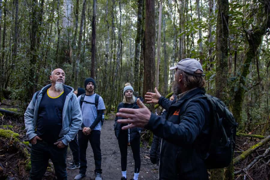 Hobart: Mt Field National Park & Wildlife Shore Excursion - Who should book this Mt Field and Bonorong shore tour?