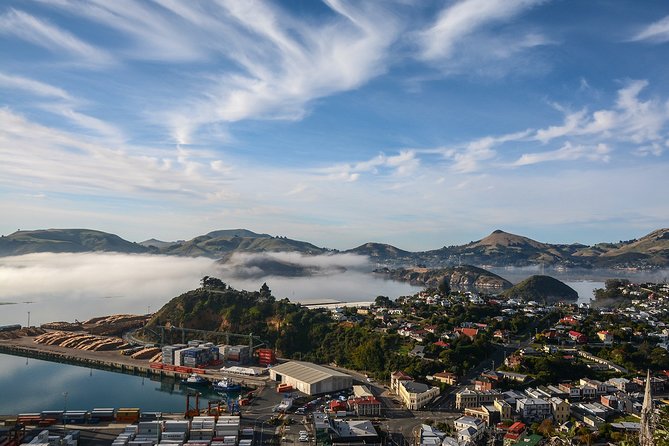 Iconic Shore Excursion: Dunedin City Highlights Tour - Key Things That Make This Dunedin Tour Worth Your Time