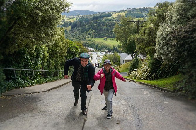 Iconic Shore Excursion: Dunedin City Highlights Tour - University of Otago: Student Culture Without the Long Campus Detour