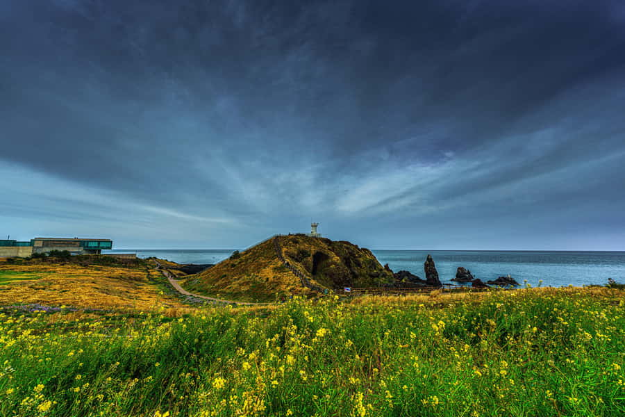Jeju Island Day Tour for Cruise Ship Passengers - Seongsan Ilchulbong (UNESCO) and Seopjikoji: Volcanic Views Plus Windy Coast Walks