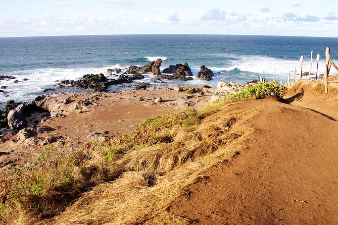 Kahului Shore Excursion: Private Tropics of Maui & Rainforest - How customization works on a private tour (and why it matters on a shore day)