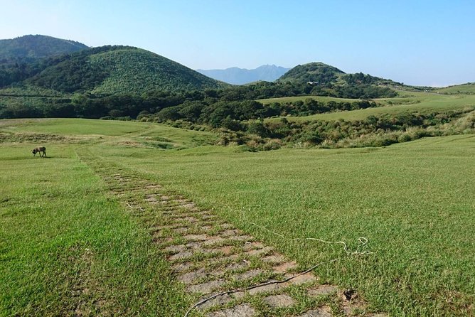 Keelung Shore Excursion: Yangmingshan Hot Spring and Wild Vegetable Cuisine Tour - Price and value: what $280 per person actually buys you