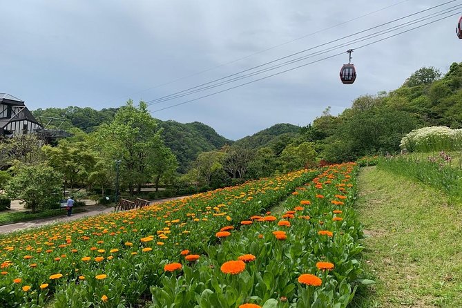 Kobe private tour from Osaka (Shore excursion available from Osaka or Kobe port) - Stop 2: Hakutsuru Sake Brewery Museum and the Sake Tasting Portion