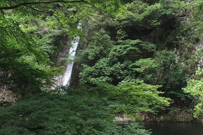 Kobe private tour from Osaka (Shore excursion available from Osaka or Kobe port) - Kobe Beef and Food Choices: What’s Optional and What Isn’t