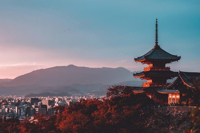 Kyoto Day Trip from Osaka Port – Private Shore Excursion - Optional Classics: How Fushimi Inari and Arashiyama Often Fit the Day