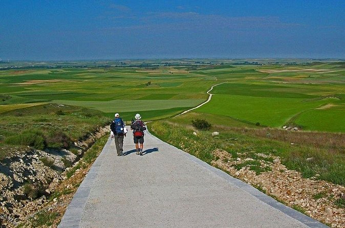 La Coruna Santiago de Compostela Shore Excursion - Price and value: is $73.51 worth it?
