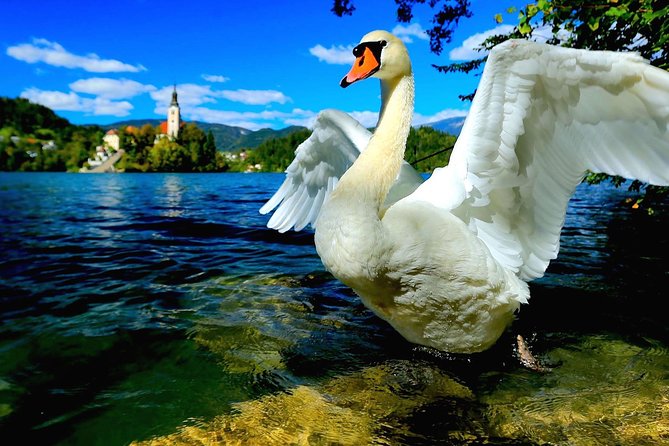 Lake Bled & Ljubljana - Shore Excursion from Trieste - What You’ll Get From the Guide: Facts That Make the Sights Click