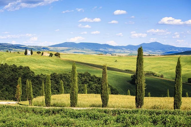 Livorno shore excursion: Bolgheri and Supertuscan private tour - Key things to know before you go