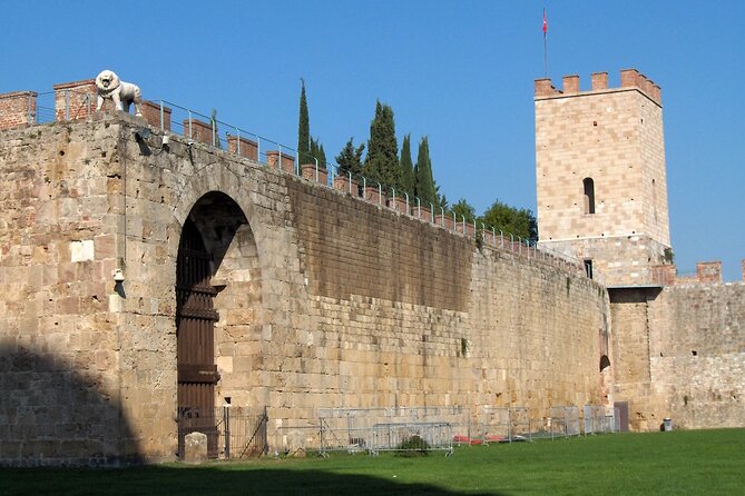 Livorno Shore Excursion: Pisa, Lucca and wine experience Private Day Trip - Who this private Pisa and Lucca shore day is best for