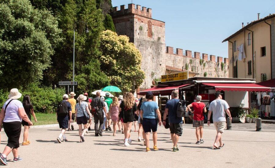 Livorno: Shore Excursion to Pisa and Livorno Bus Tour - Price and Value: Is $42 a Good Deal for Pisa and Livorno?