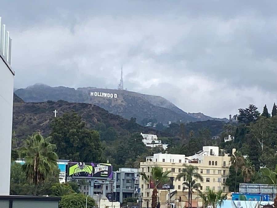 Los Angeles: City Highlights Tour From Cruise Port - Lunch at Mel’s Diner: 1950s Vibes, George Lucas Connections